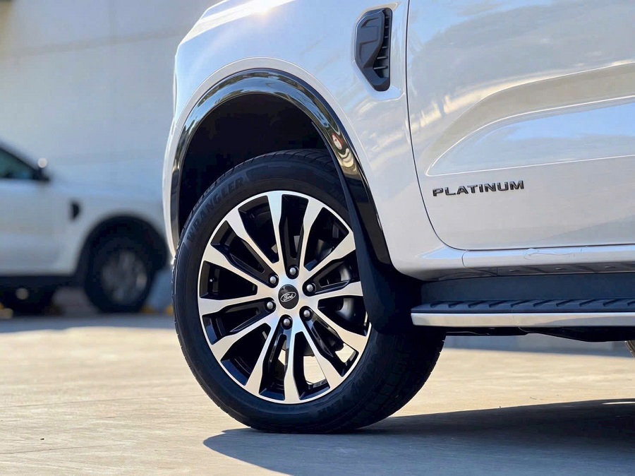 Everest Platinum